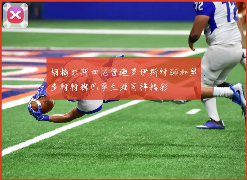 胡梅尔斯回忆曾邀罗伊斯特狮加盟多特特狮巴萨生涯同样精彩
