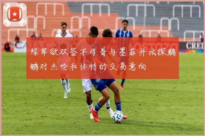绿军欲双签字母哥与墨菲并试探鹈鹕对杰伦和怀特的交易意向