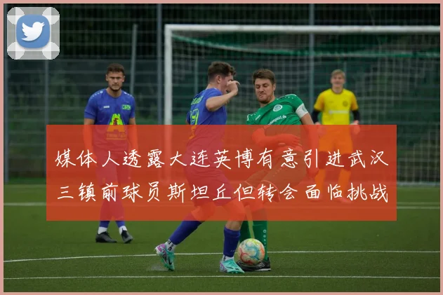 媒体人透露大连英博有意引进武汉三镇前球员斯坦丘但转会面临挑战