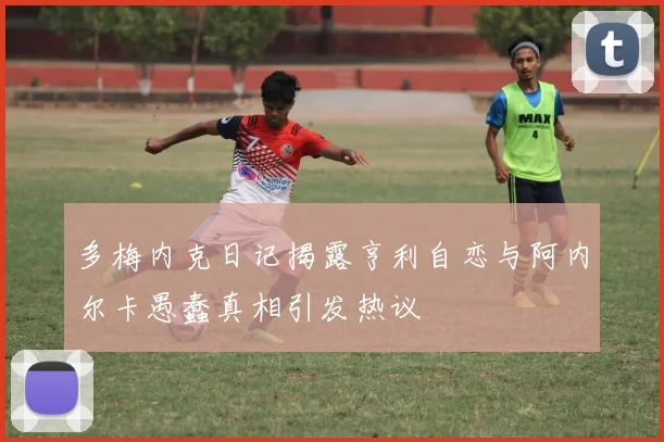 多梅内克日记揭露亨利自恋与阿内尔卡愚蠢真相引发热议